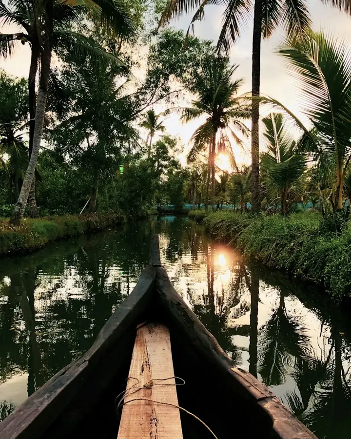 Country boat on a palm-lined canal in Kumarakom